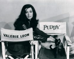Puddy the Cat - Director Chairs